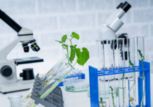Biotechnológiai termékek